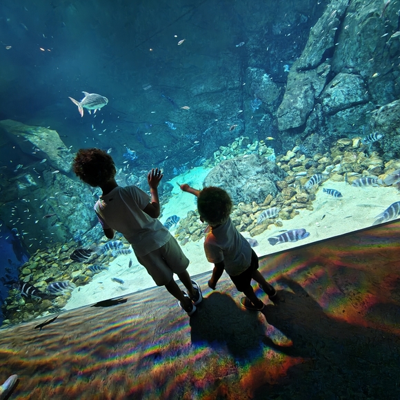 ❣️🔲🧭Lala is Live RIGHT NOW!,🔲🧭❣️ - Picture 5 of 7